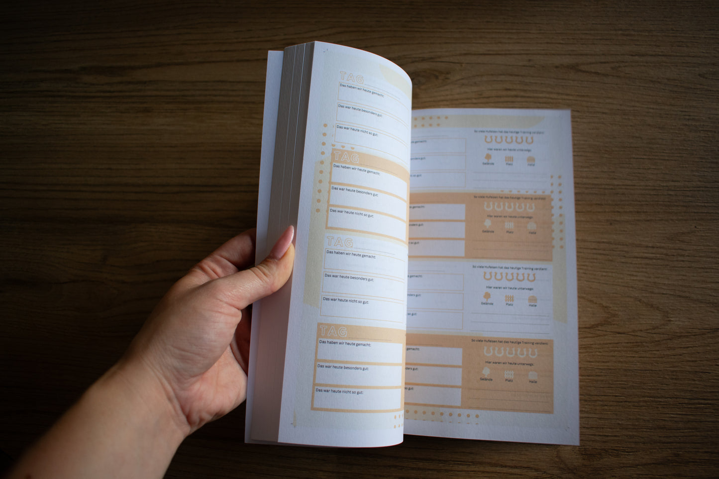 Mein Pferdetagebuch - Dauerkalender - Das Trainingstagebuch für Pferd & Reiter - Gedruckter Kalender