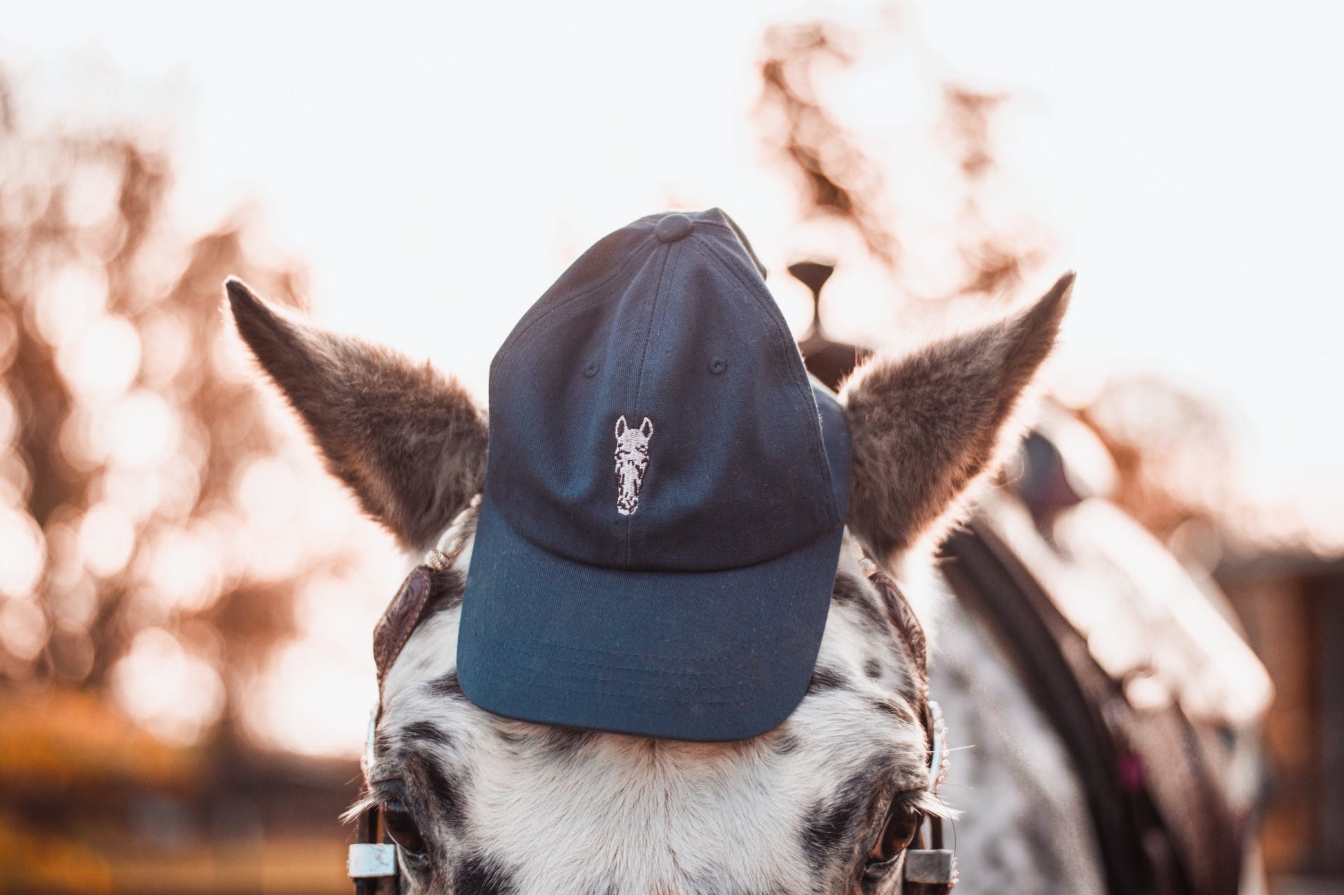 Best Buddy Bundle - Individuelle Cap und digitales Portrait nach Fotovorlage von deinem Pferd - Handvollhufeisen Shop