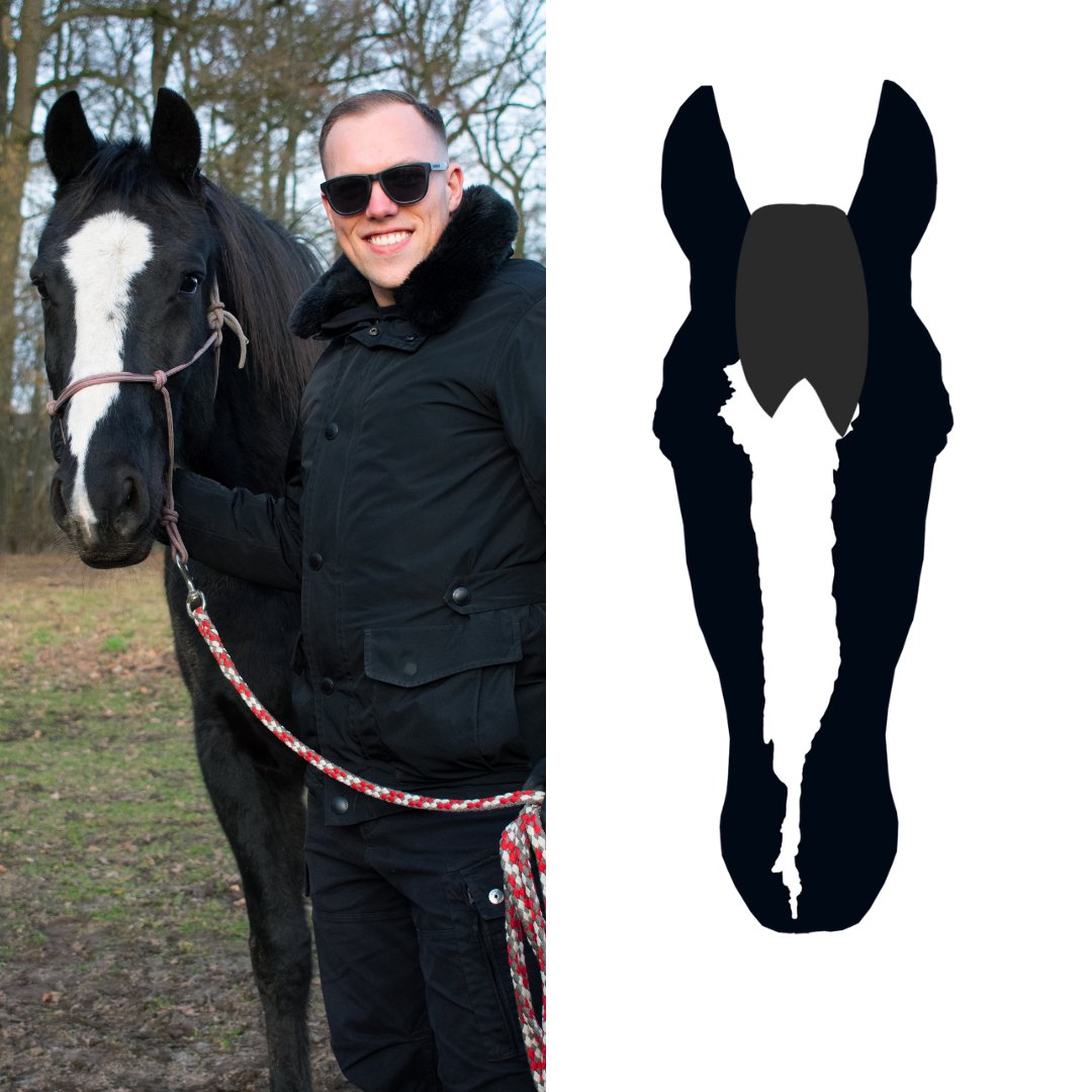Digitales Pferdeportrait nach Fotovorlage in schwarz/weiß - Handvollhufeisen Shop