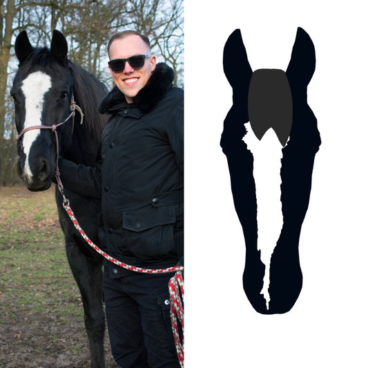 Digitales Pferdeportrait nach Fotovorlage in schwarz/weiß - Handvollhufeisen Shop