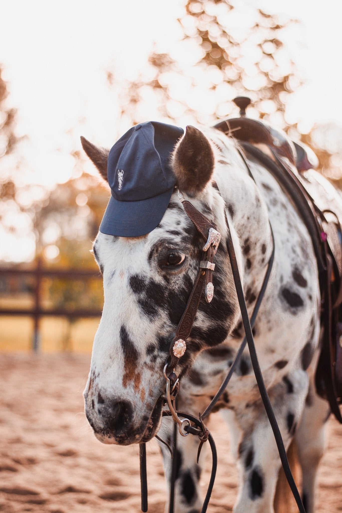 Best Buddy Bundle - Individuelle Cap und digitales Portrait nach Fotovorlage von deinem Pferd - Handvollhufeisen Shop